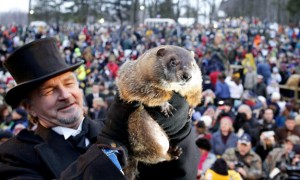 punxsutawney phil - Groundhog Day