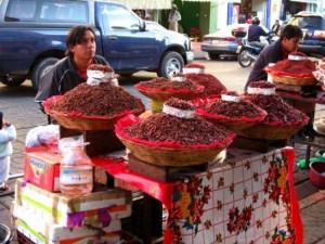 oaxaca chapulines Vacation In 2015