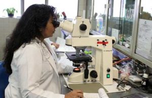 Globalization Of Healthcare - Female Researcher Looking Through Microscope